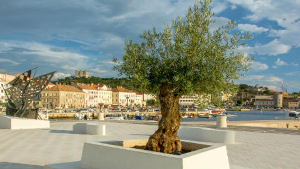 Apartman Marina Senj  Exteriér fotografie